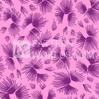 aaa